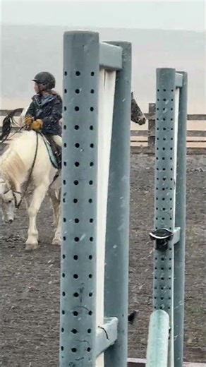 Riding Finn in the snow ❄️