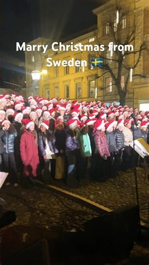 Christmas Vacation in Sweden 🇸🇪❄️ | Merry Christmas from Scandinavia#viral #ytshorts #christmas