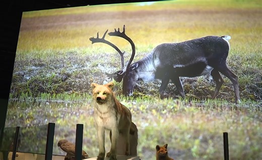 Discovery Place Science center opens new winter exhibit