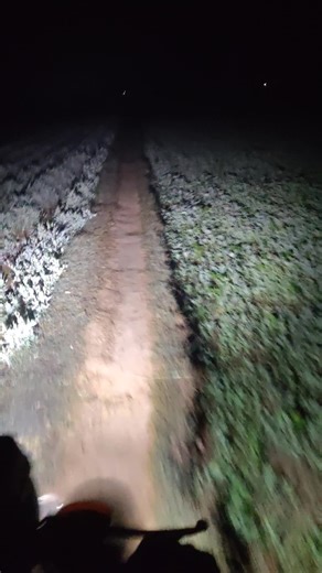 Exploring the Top Speed of CG150 and 125 Bikes