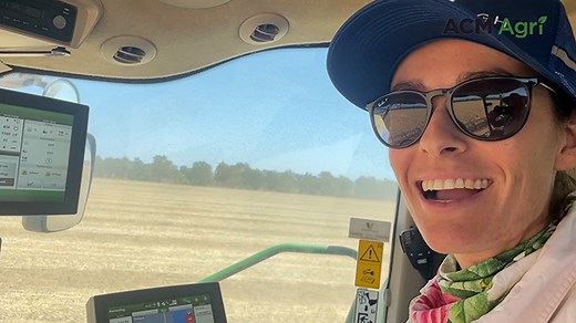 Chickpea harvest | Queensland Country Life