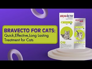 Bravecto for Cats: Quick, Effective, Long Lasting Treatment for Cats