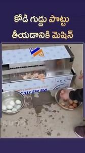268K views · 2.3K reactions | Automatic Boiled Egg Shelling Peeling Machine #eggs #innovation #trendingreel #comedy #telugu #viral #shorts #reels #egg #latest #telugureels #trending #today #kitchenhacks #woman #ideas | Buddi | Facebook