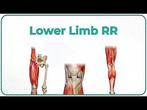 Anatomy of Lower Limb : Rapid revision By Dr Krishna Sahith
