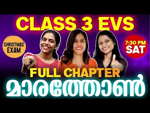 Class 3 EVS Christmas Exam | Full Chapter Marathon | Exam Winner Class 3