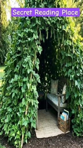 How to Grow a Secret Reading Nook That Feeds Your Family || Farm Modernization #facts #agrifuture