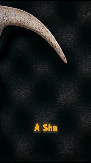 ⚡ FedEx Flight 705 /The Shocking Hijacking Attempt #historyfacts #history