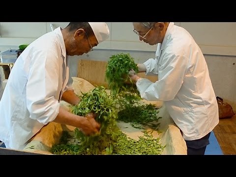 お茶の手もみの技披露 島田の杉本製茶 静岡