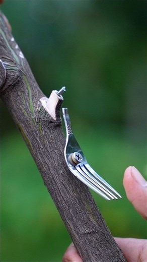 DIY Spoon Creation with Wooden #craft