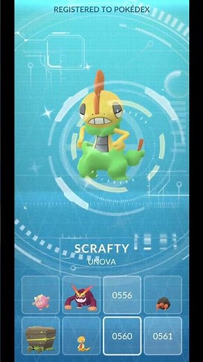 Evolving SHINY SCRAGGY to SHINY SCRAFTY in Pokemon GO #pokemon #pokemongofest2025 #shinypokemon