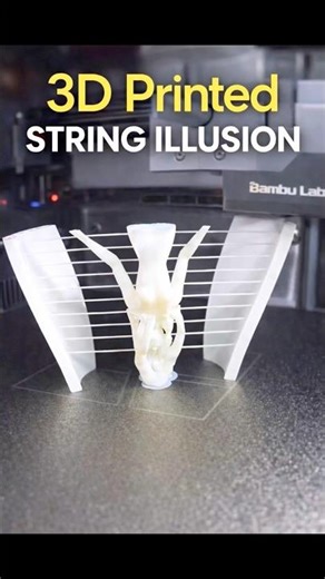 3D Printed STRING ILLUSION