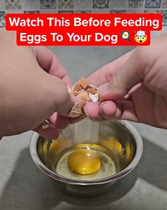 124 reactions · 31 shares |  Ever been tempted to give your dog a...