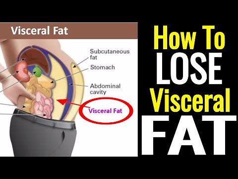 How To Lose Visceral Fat – It's Not As Hard As You Think!