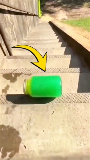 Baby to Adult: Incredible Animal Transformation!