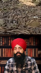 "Slithering Success: The Secret World of Snake Farming! 🐍💰"#SnakeFarming #ReptileFarming #SnakeBreeding #VenomExtraction #SnakeSkin #WildlifeConservation #AnimalHusbandry #FarmingIndustry | Jot Tv Media