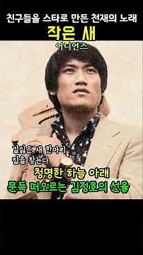 작은 새 . 어니언스 . 김정호의 선물이었던 #추억의노래 #7080음악 #7080히트곡