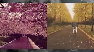 69K views · 184 reactions | Life in Copenhagen is almost lived in the saddle of a bicycle. Everybody does it. We bike whether there is sun, rain or snow. THIS IS COPENHAGEN! | VisitCopenhagen | Facebook