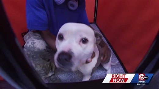 Raytown opens first-ever city-run animal services facility