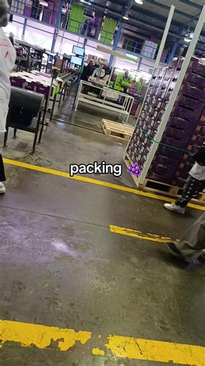 Packing Delicious Grapes for a Perfect Snack