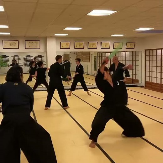 Tosei Ryu Stockkampftraining: Evade and counter / Ausweichen und Kontern - japanischer Stockkampf