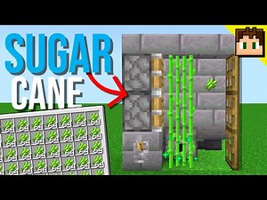 Minecraft Bedrock: How To Build an EASY SUGARCANE Farm! 1.21 Tutorial