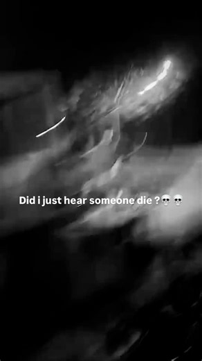 SNIZZ | that sounding like a cry for help💀 (Follow @snizz4k For More ) | Instagram