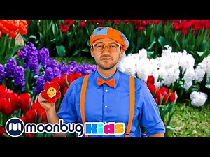 Color Song | Cars, Trucks & Vehicles Cartoon | Moonbug Kids