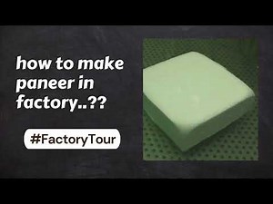 Mini Paneer Making Machine 200 L | Paneer Processing Plant | Paneer Production Plant | Paneer