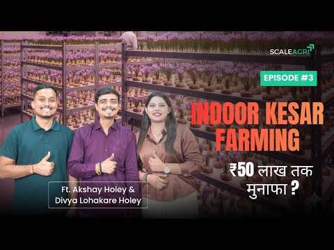 🌸 Indoor Kesar Farming Business: ₹50 लाख तक की Income 2025 💰| Viral Saffron Couple of India 🇮🇳