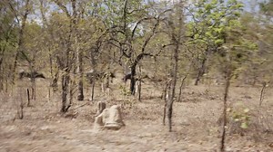 83K views · 1.1K reactions | Some more action from the upcoming iView series. Go to iView on the 30th of March for all 3 episodes. It's not one you want to miss! | Outback Ringer | Facebook