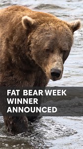 268K views · 2.6K reactions | 'Chunk' has been crowned the 2025...