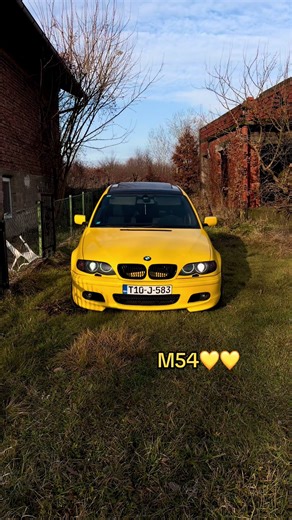 Exploring the BMW M54 Engine Performance