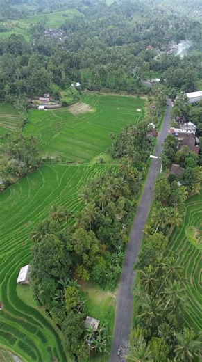 Belimbing Rice Terrace The village street and rice terrace. Beautifull country side in Tabanan Regency 🥰 | Bali Tour Guide