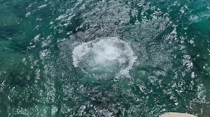 1.1M views · 10K reactions | Only magic here  !!!! | Britney Spears | Facebook