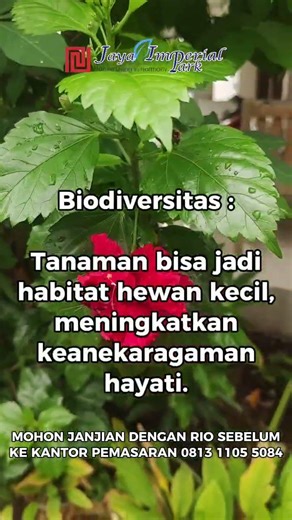 FUNGSI POHON DISEKITAR RUMAH