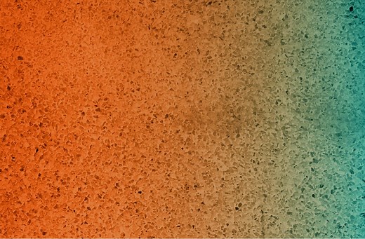 Rehab Robot HARMONY Introduced by UT Austin Engineers