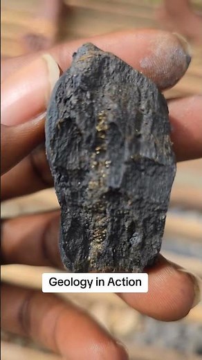 Geology in Action! #GeologyRocks #ExplorationGeology #CoreLogging #Pyrite #Shale