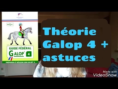 Galop 4 : Théorie + astuces