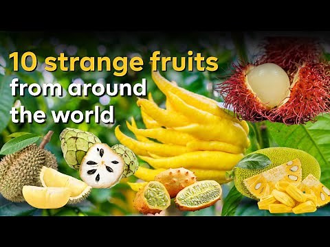 10 Strange Fruits From Around The World