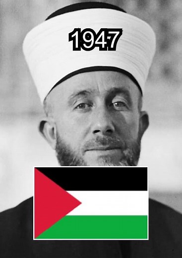 Evolution of Palestine flag #palestine #flag #evolution #history #middleeast #fyp #shortvideo