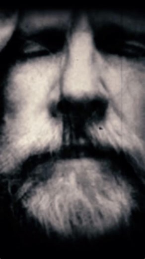 Armored creatures. Guts of the machine!