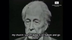 Was Frank Lloyd Wright's architectural vision sustainable?