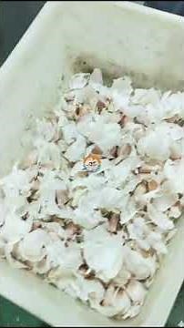 Automatic Garlic Peeling Skin Removing Machine Auto Industrial Garlics Peeler With Heating System