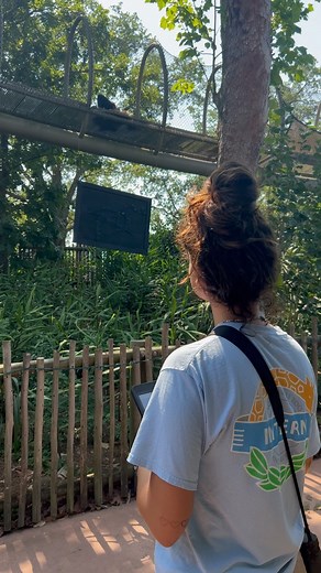 4.6K views · 153 reactions | Our Animal Wellness team conducts...