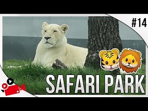 West Midlands Safari Park! | White Lions, Cheetahs & More! | UK Vlogs | Vlog #14