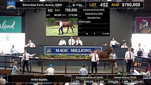ICYMI: Exceed and Excel-Sweet Sherry filly (Lot 452) selling for $1.1m from Silverdale Farm to Kia Ora Stud & TFI on day 3 of the Gold Coast Yearling Sale. #mmgc2023 | Magic Millions