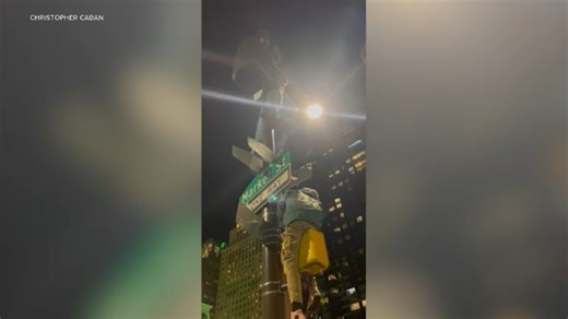 Temple student dies after falling from light pole during Eagles celebrations in Philadelphia