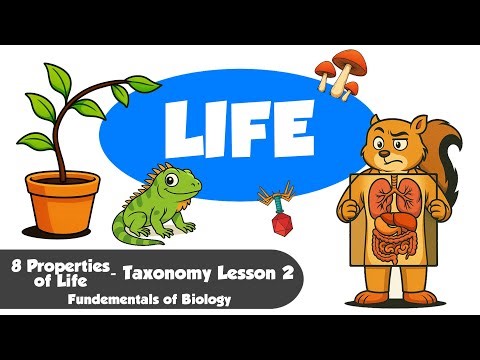 8 Properties of Life | Taxonomy Unit - Lesson 2