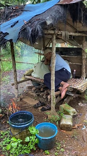 Deep Forest Isolation: Why I Love This Simple Hut #asmr #cabinbliss #rainsounds