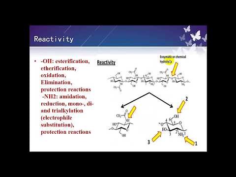 Bio polymers - chitin and chitosan